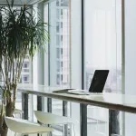 Urban Gardening: How to Cultivate a Green Space in Your Apartment